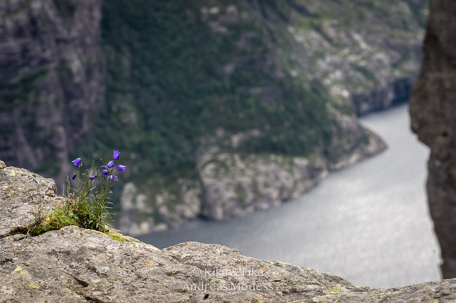Stig med trappor på väg mot Preikestolen