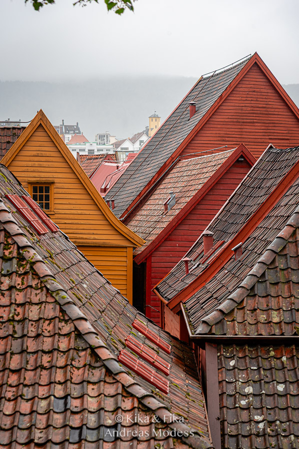 Hustak i Bergen, Norge